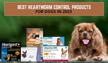 Best Heartworm Control Products for Dogs In 2023