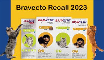 Bravecto Information & Recall