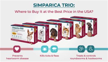 Simparica Trio: Where to Buy It at the Best Price in the USA?