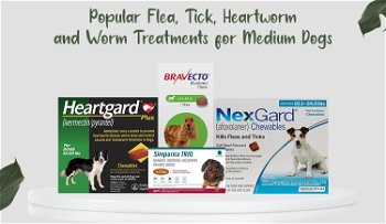 Popular Flea, Tick, Heartworm and Worm Treatments for Medium Dogs