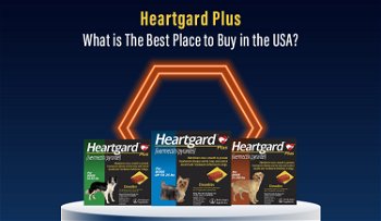 Heartgard Plus - What is The Best Place to Buy in the USA?