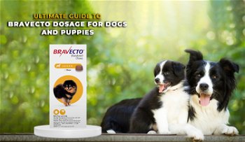 Ultimate Guide to Bravecto Dosage for Dogs and Puppies