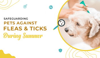 Safeguarding Pets Against Fleas & Ticks During Summer