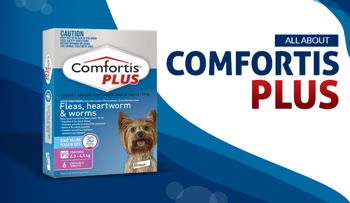 All About Comfortis Plus