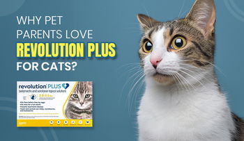 Why Pet Parents Love Revolution Plus for Cats?